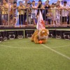 20150721_Tigers_RoboCup-Hefei_156.jpg